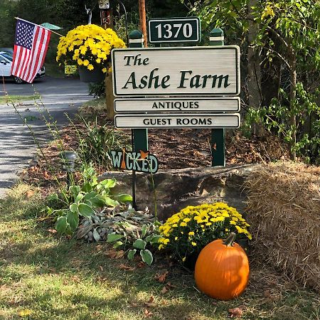 Marshall The Ashe Farm Bed & Breakfast エクステリア 写真
