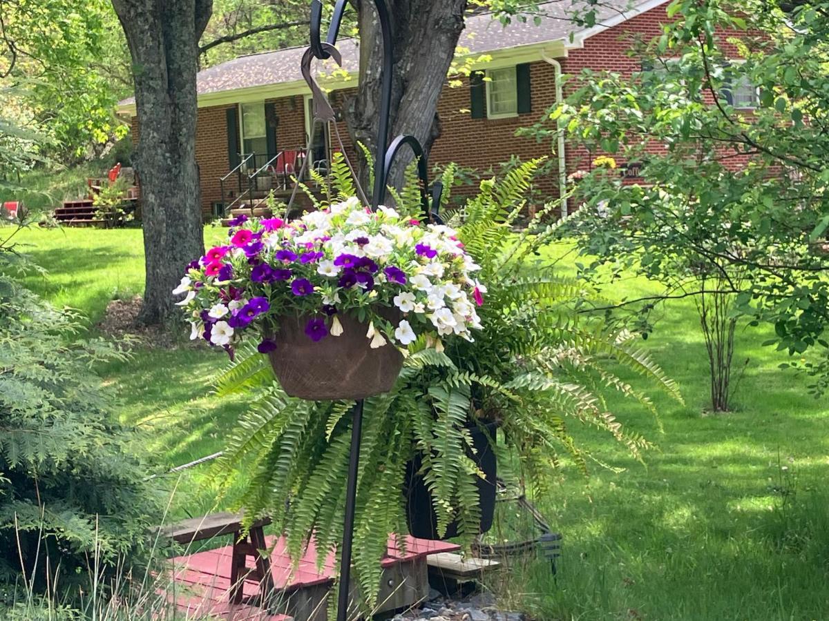 Marshall The Ashe Farm Bed & Breakfast エクステリア 写真