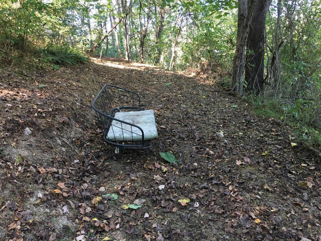 Marshall The Ashe Farm Bed & Breakfast エクステリア 写真